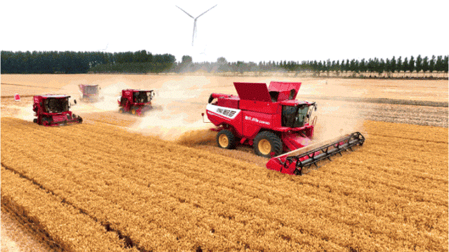 恒峰g22(国际)官网入口-天天有惊喜