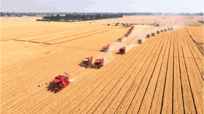 恒峰g22(国际)官网入口-天天有惊喜