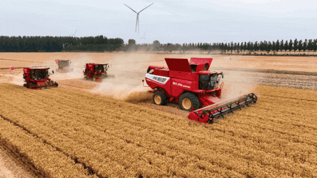 恒峰g22(国际)官网入口-天天有惊喜