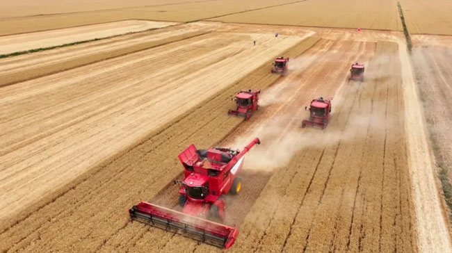 恒峰g22(国际)官网入口-天天有惊喜