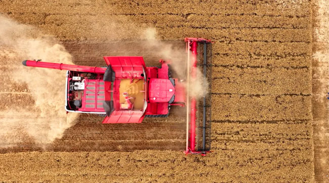 恒峰g22(国际)官网入口-天天有惊喜